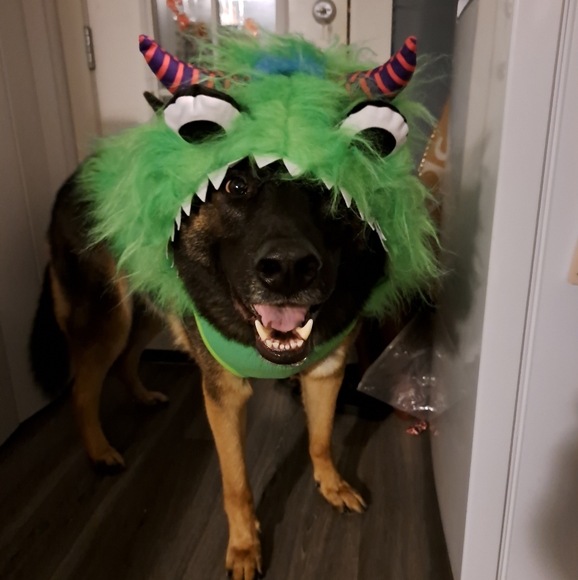 Meet your Posher, Lind - Picture 14 of 16